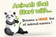logo animals that start with hu